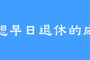 只想早日退休的咸鱼