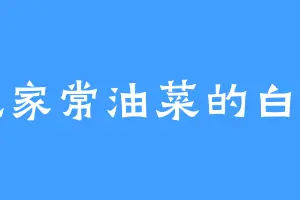 爱吃家常油菜的白虹刀