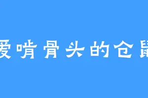 爱啃骨头的仓鼠