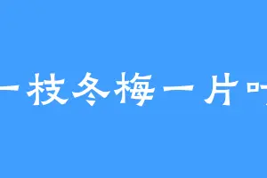 一枝冬梅一片叶