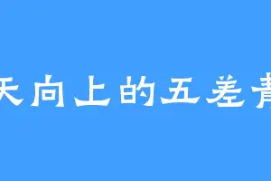 天天向上的五差青年